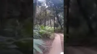 Thumbnail: A way to wayanad glass bridge which is also called 900 kanadi