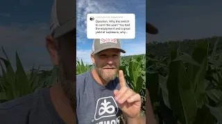 Thumbnail: Why switch to corn?🌽