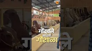 Thumbnail: Go Shala | Gondavalekar Maharaj Temple | Sukirtg
