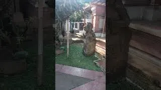 Thumbnail: Mr. Suky Luxiana  House Bukian-Bali