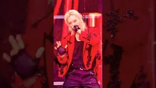 Thumbnail: I had a Stray Kids fever dream, IT’S FESTIVAL and CONCERT SEASON! #스트레이키즈 #スキズ #SKZ