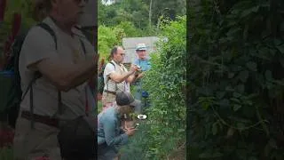 Thumbnail: Inside a 20-Acre Costa Rican Botanical Garden Overflowing with Plants