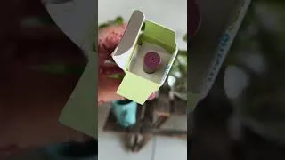 Thumbnail: Mamaearth matte long stay lipstick #shorts #youtubeshorts #lipstick #mamaearth