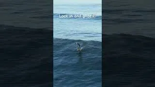 Thumbnail: Carving is fun and all but sometimes? Lock in and glide🤙 #foildrive  #foilsurfing  #glide