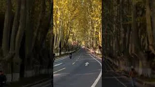 Thumbnail: Autumn comes