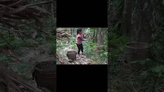 Thumbnail: harvesting Palm Fruit