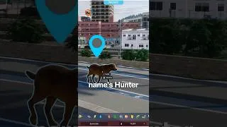 Thumbnail: Hunter the Flying Dog: Cities Skylines 2 #citiesskylines2 #GamingGlitches #cs2