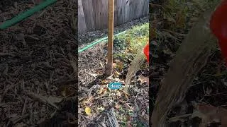 Thumbnail: Outdoor Plants Drying Out? Winter Watering Matters