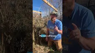 Thumbnail: Stop Pulling Dead Plants! Do THIS Instead 🌱