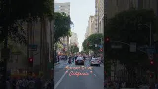 Thumbnail: Dodgers Parade 2024: The Electric Crowd
