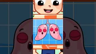 Thumbnail: How Does My Body Work? Body Organs and Their Functions Explained for Kids 🙌