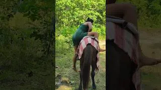 Thumbnail: Gorgeous Girl Horseback Riding in the Village! 🌿🐎#shorts #horseriding