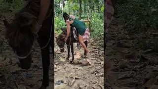 Thumbnail: Village Girl’s Amazing Horse Riding! 🐎😍#shorts #Horseback