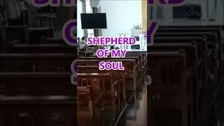 Thumbnail: Shepherd of My Soul #shorts #gospelmusic #hymn #churchmusic