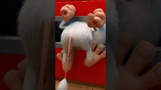 Thumbnail: Disaster in the supermarket #Shorts #Booba #cartoon