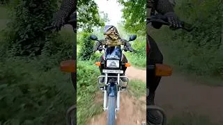 Thumbnail: गोहरे ने मोटरसाइकिल चुरा ली 😱🐊🏍️