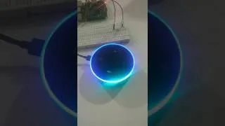 Thumbnail: Alexa Raspberry pi demo