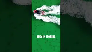 Thumbnail: Wake surfing over hundreds of sharks off Destin Florida #wakesurf #sharks #emeraldcoast #drone