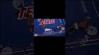 Thumbnail: One Of The Most Thudding Uppercuts Ever Landed