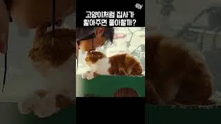 Thumbnail: 고양이처럼 집사가 핥아주면 좋아할까?