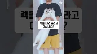 Thumbnail: 고양이 렉돌 테스트 (feat. 수리노을 고양이 가족)