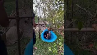 Thumbnail: WaterSlide #survival #swimmingpool #waterslide
