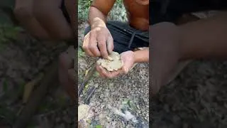 Thumbnail: What Is That?#survival