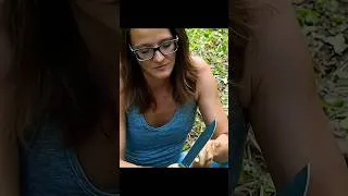 Thumbnail: APO 1S Color Reveal English