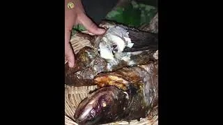 Thumbnail: Mukbang: https://youtube.com/playlist?list=PL3SuqW_AjXnIefJ_Bh9JCsfd5fDzxANrT&si=RqFL-7A0kC-ACtPr
