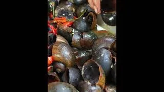 Thumbnail: Mukbang:https://youtube.com/playlist?list=PL3SuqW_AjXnIefJ_Bh9JCsfd5fDzxANrT&si=z5sHBFPiNS-cHMrQ
