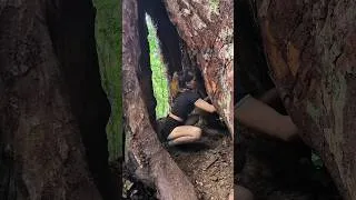 Thumbnail: Shelter inside a tree hollow @survivalsolo88