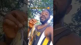 Thumbnail: Mende Nengor Wa.