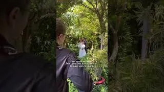 Thumbnail: How to POSE a couple on their wedding day 📸💍 | Suzanne Delawar #shorts #weddingphotography