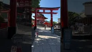 Thumbnail: Check the pinned comment to know! #japan #travelguide #solotravel #solofemaletraveler