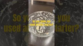 Thumbnail: I promise you didn’t use all your starter.