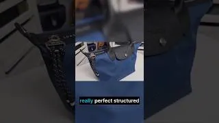 Thumbnail: This Longchamp Insert Changed EVERYTHING!