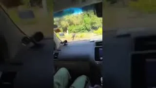 Thumbnail: BREAKING NEWS:Rigathi Gachagua's motorcade attacked by police in embu county kagio ruto wantam