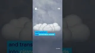 Thumbnail: What Clouds Can Tell You About the Weather || DW's Sciencewise