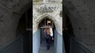Thumbnail: Ruine Kastelen Lucerne: 800 Years of Hidden Swiss Castle History & Alpine Views