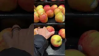 Thumbnail: Grocery haul!!!