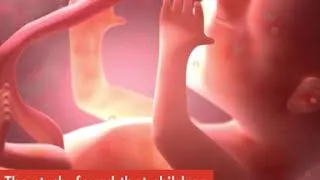 Thumbnail: Low level alcohol use during pregnancy can impact child's brain development