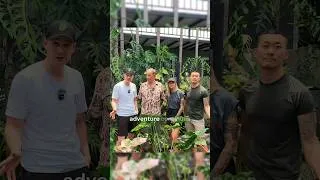 Thumbnail: What a pleasure to tour the amazing Monstera Collection at Amazon Garden Thailand … full video ☝️