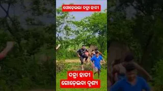Thumbnail: Elephant Attack #t2mohantadesi