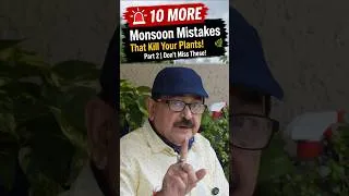 Thumbnail: Don't Let Monsoon Kill Your Plants! | Rainy Season Plant Care (Part 2)