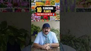 Thumbnail: Forget to Water Plants? Grow These Beautiful Flowers #floweringplants