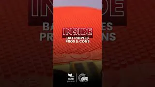 Thumbnail: What are the benefits of playing with pimples on your table tennis bat?