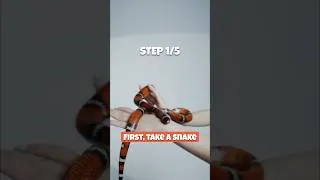 Thumbnail: How to make a snake game in 60 seconds (or in 5 steps if you prefer) #devlog