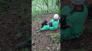 Thumbnail: Three little orphans. One big milestone. 💚🌿