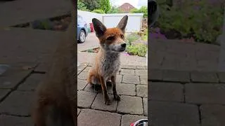 Thumbnail: 2 Weeks And Still No Sign Of Her (pinned comment)
