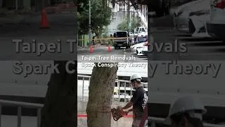 Thumbnail: Taipei Tree Removals  Spark Conspiracy Theory